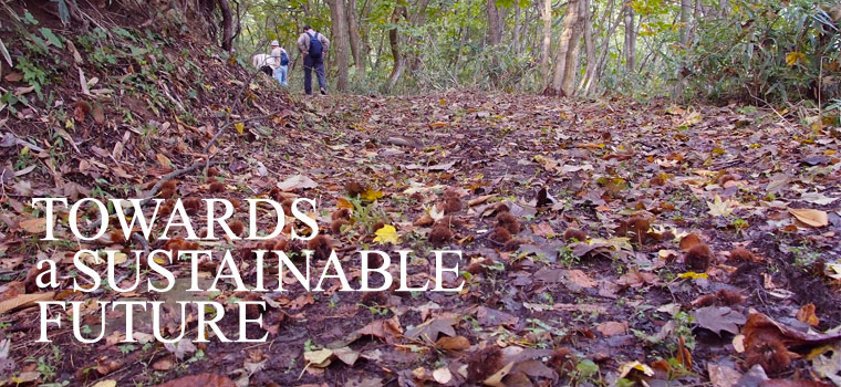 トップメイン画像