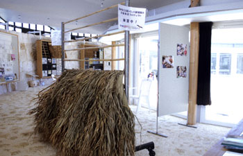 館内の展示の様子 ビロウ葺き