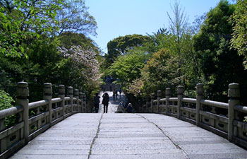 日本風な橋と背景の木々