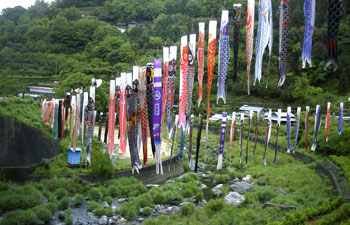 イベントの一風景 川田川を渡る鯉のぼり