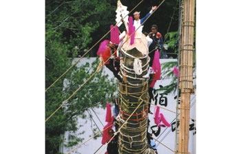 諏訪大社下社御柱祭里曳き建て御柱 2010