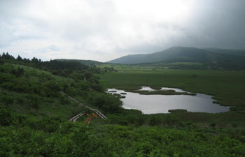 八島湿原 国指定天然記念物