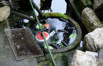 針江の生水　川端