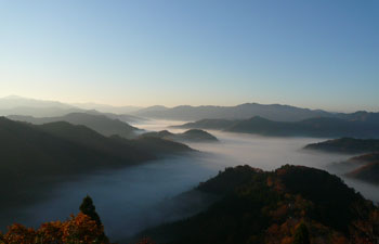 小入谷の雲海